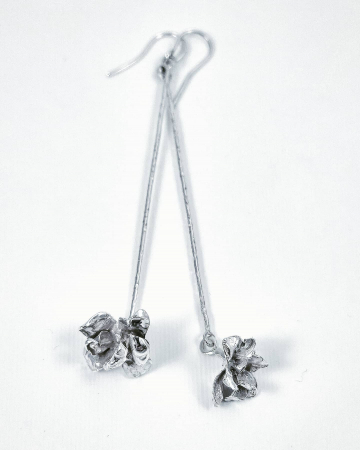 CERCEI - Flori cataratoare