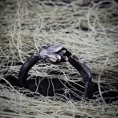 Nature Ring [2]