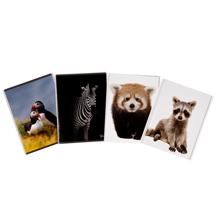 Caiet A5, 48 file, 80gsm, coperta carton 300gsm, design animals - dictando [2]