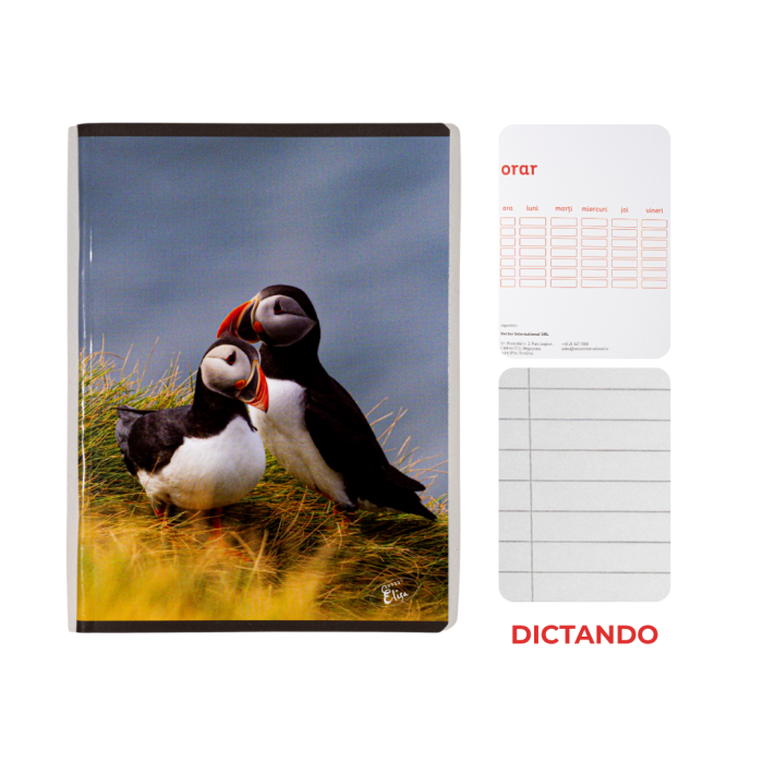 Caiet A5, 48 file, 80gsm, coperta carton 300gsm, design animals - dictando [1]