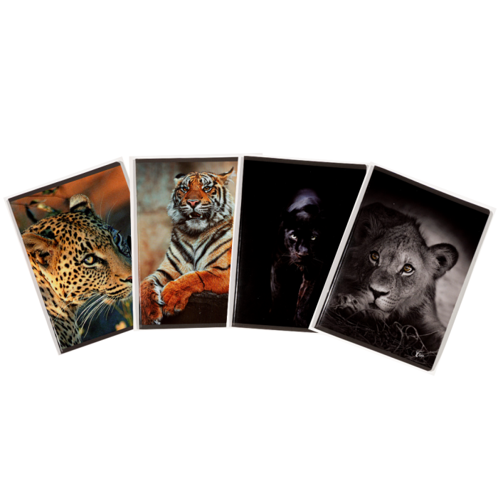Caiet A5, 48 file, 80gsm, coperta carton 300gsm, design animals - matematica [2]
