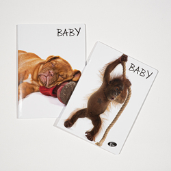 Caiet TIP1, 36 file, 80gsm, coperta carton 300gsm, design baby pets [2]