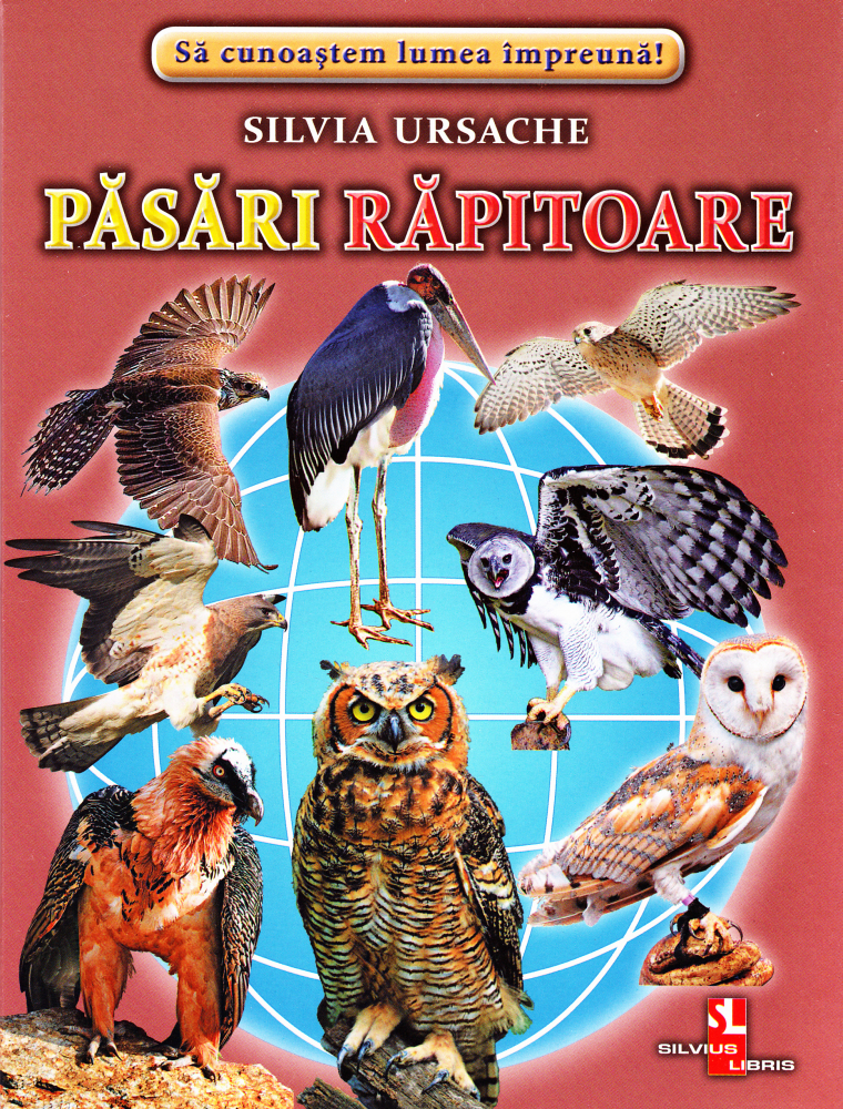 Pasari rapitoare - Cartonase- [1]