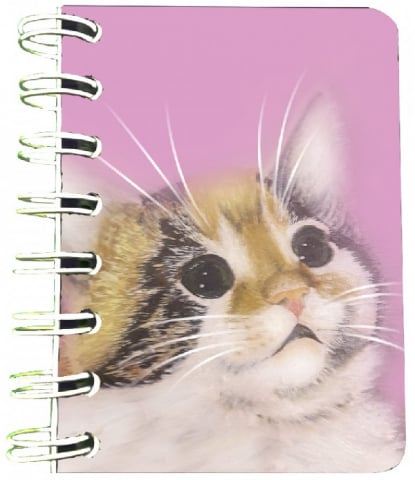 Accesorii de Birou - Carnet cu spira: Pisica