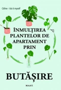 Plante Apartament - Inmultirea plantelor de apartament prin butasire Celine