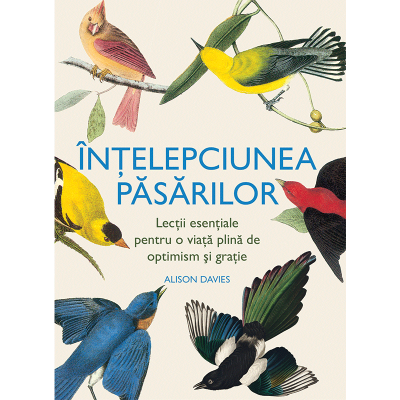 Intelepciunea pasarilor