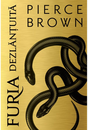 Beletristică - Furia dezlantuita