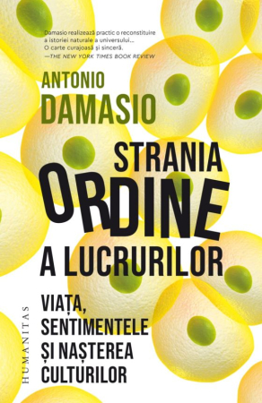 CĂRȚI - Strania ordine a lucrurilor