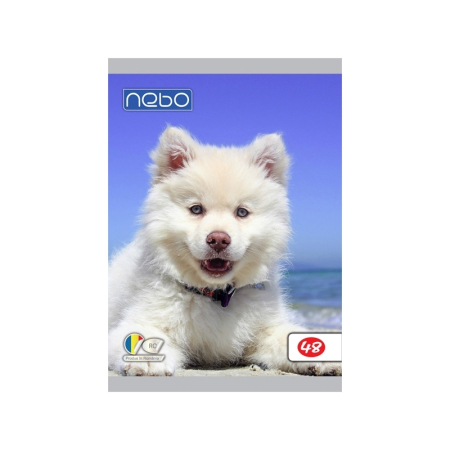 Caiete Velin - Caiet NEBO A5, Foi Veline, 48 file, 60 g/m²