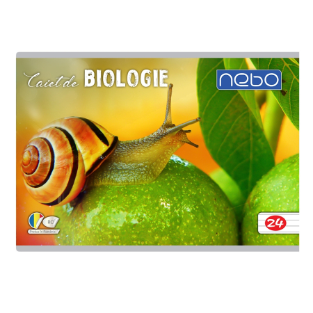 Caiete și Blocuri - Caiet de Biologie A5, 24 file - NEBO