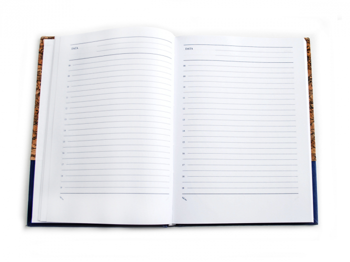 Agenda A5 nedatata tricolora cu elastic 192 pagini [2]