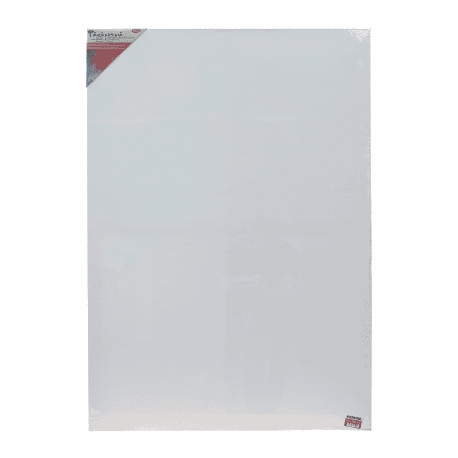 Panza pictura pe sasiu 70x100CM [1]