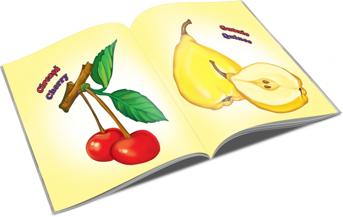 PLIANT-FRUCTE, 12 pagini [2]