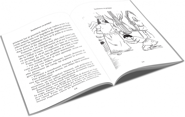 PRINT SI CERSETOR [2]
