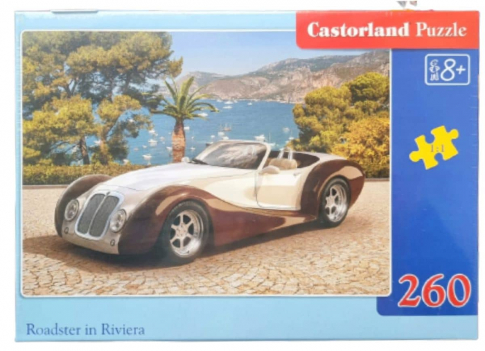Puzzle 260 piese diverse modele [3]