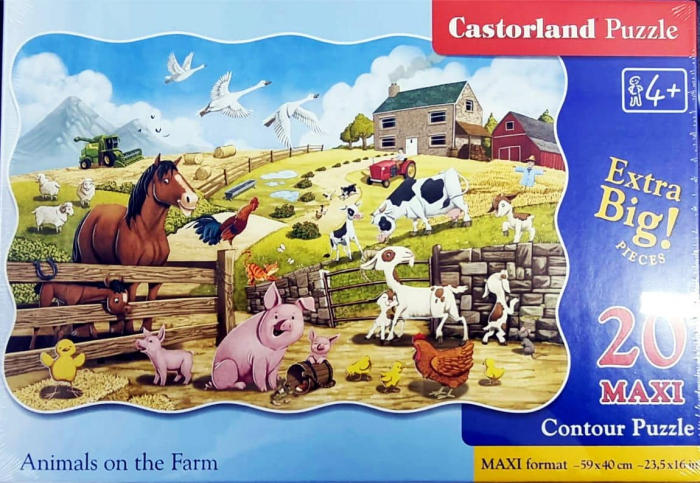 Puzzle Maxi 20 Piese diferite modele [4]