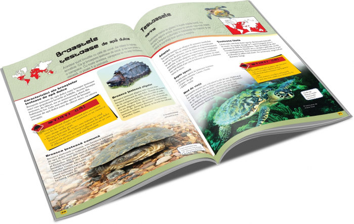 REPTILE- Lumea animalelor [2]