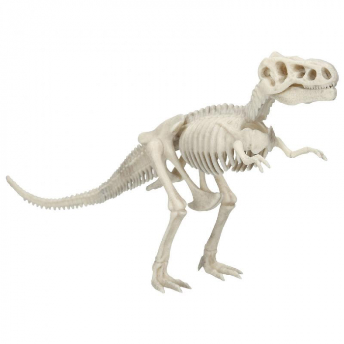 Set Paleontologie Mare Dino World [5]