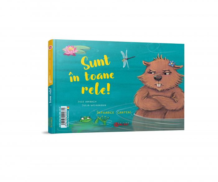 SUNT FOARTE VESEL / SUNT IN TOANE RELE - INTOARCE CARTEA [2]
