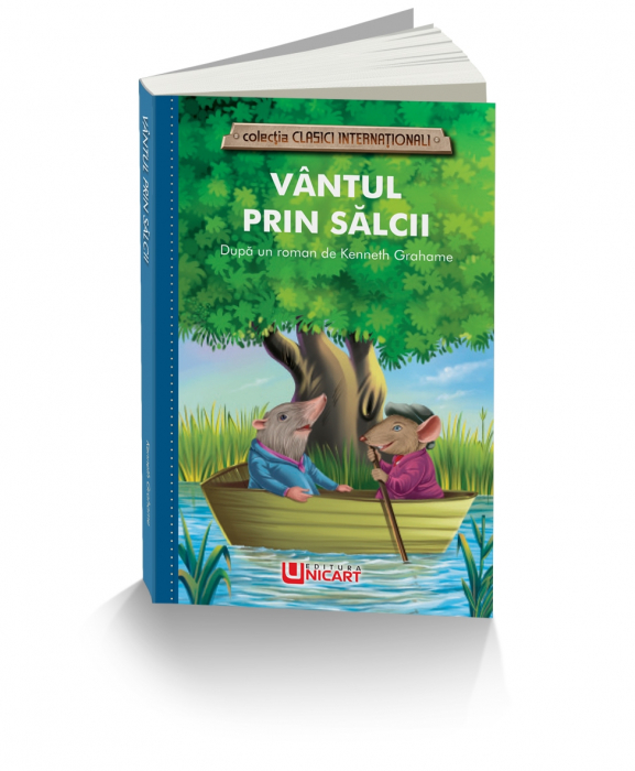 VANTUL PRIN SALCII [1]