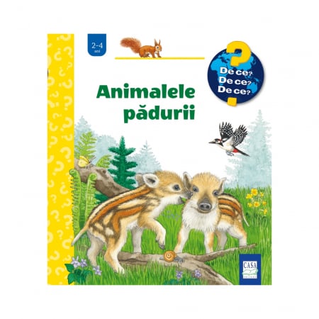 Produse Noi - Animalele pădurii