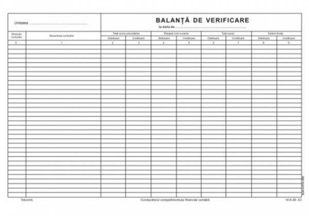 Producție Proprie - Balanta de verificare A3 ( Dany Cris )