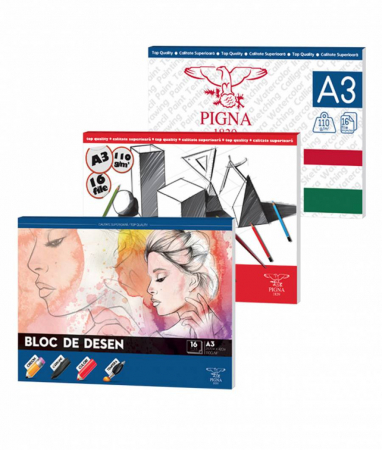 Blocuri de desen si schite - Bloc desen A3, hartie 160g, 16 file, diverse modele, Pigna