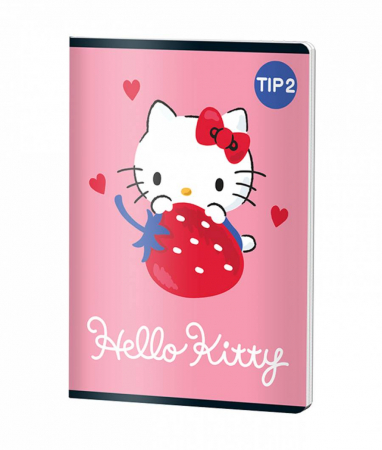 Caiete Speciale - Caiet Tip II 24 file Coperta Disney