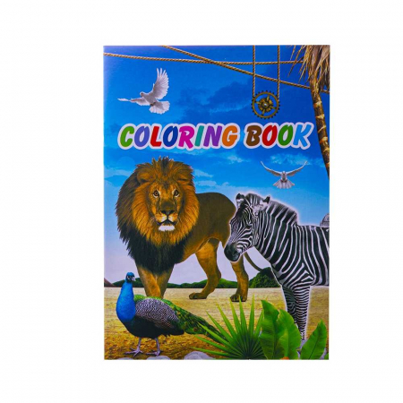 Carte - Carte de colorat A5 10 file diverse modele