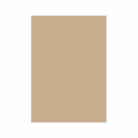 Hârtie & Carton Color - Carton Color 160G/MP A4 Maro Hazelnut