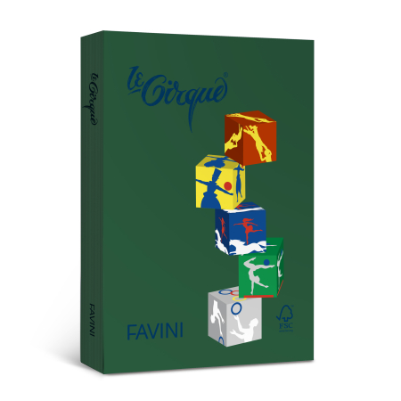 Produse Noi - Carton Color 160G/MP A4 Verde Christmas