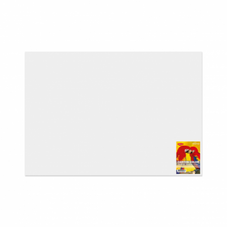 Hârtie & Carton Color - Carton Color Alb 270G/MP 70x100 10 Coli Daco