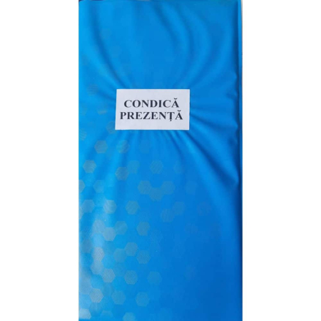 Registre - Condica prezenta cartonata