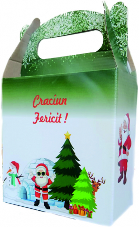 Cutii carton ambalaj si depozitare - Cutie Carton Cadou Verde Mica 280x200x350 mm