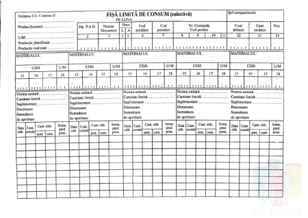 Producție Proprie - Fisa limita de consum colectiva A4 orizontal
