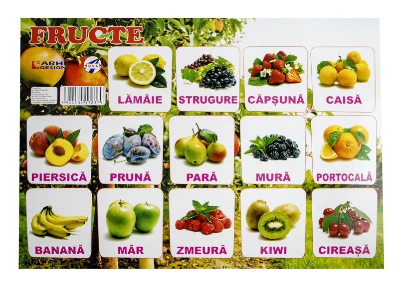Planse didactice - Plansa Fructe A4 din carton cu lacuire UV