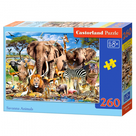 Reduceri - Puzzle 260 piese diverse modele