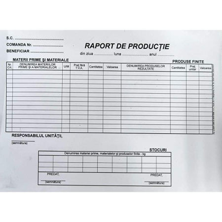 Producție Proprie - Raport de productie A4 orizontal ( Dany Cris )