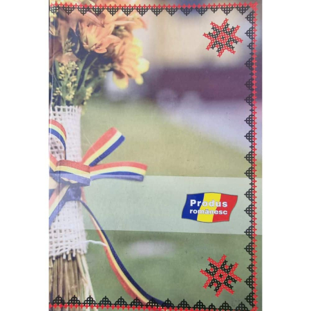 Registre - Registru A4, 100 file cartonat, Dictando/Matematica DC