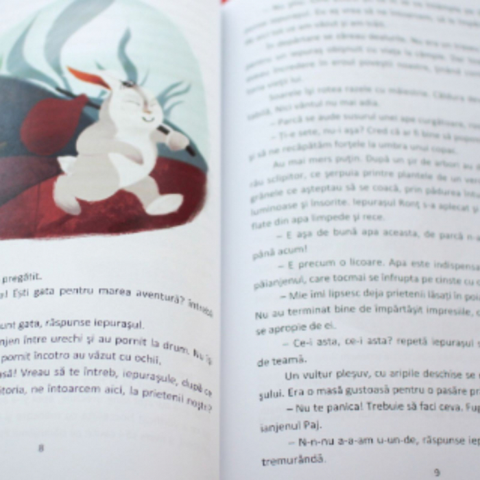 Calatoria iepurasului Ront, autor Claudia Groza [3]