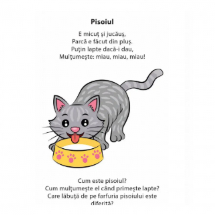 Kit pentru dezvoltarea atentiei si a memoriei, autor Loredana Bejan [3]