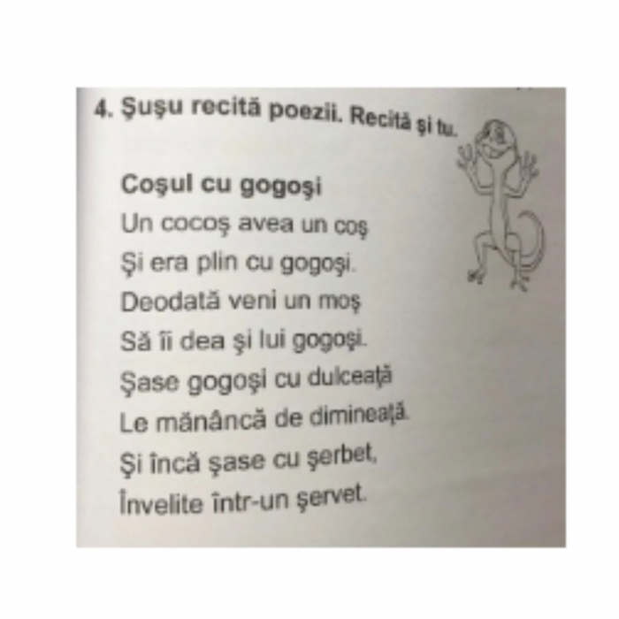 Logopedie hazlie, autor Loredana Bejan [3]