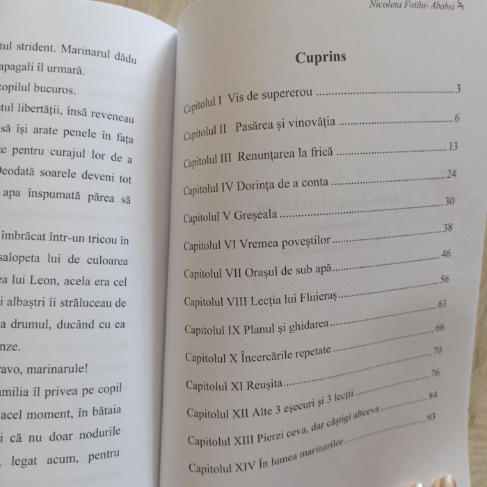 Nu renunt! autor Nicoleta Fotau- Ababei [2]