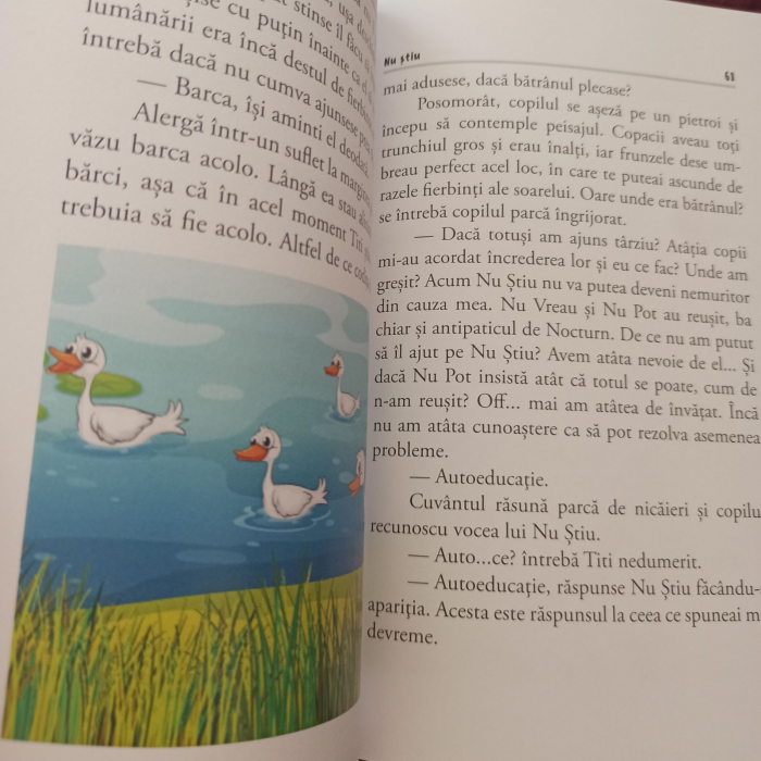 Pachet 2 carti educative si 2 caiete, autor Nicoleta Fotau [5]