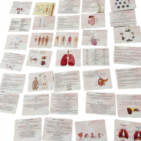 CARDURI DE BIOLOGIE PENTRU BACALAUREAT– ANATOMIE ȘI GENETICA [2]