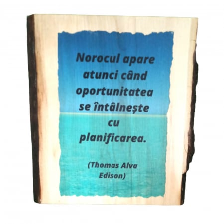 Mesaje motivationale pe lemn masiv - Citat motivațional pe lemn masiv cu scoarță