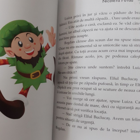 În pielea lui Moș Crăciun, autor Nicoleta Fotău [4]