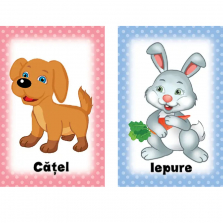 Invatam sa spunem L si R – carti de joc, autor Laura Hardalau [2]