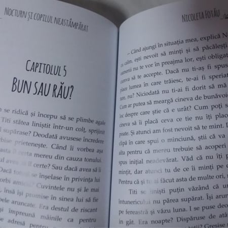 Nocturn şi copilul neastâmpărat, autor Nicoleta Fotău [3]