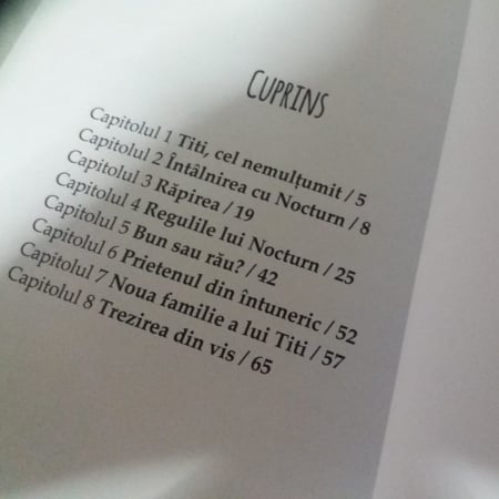 Nocturn şi copilul neastâmpărat, autor Nicoleta Fotău [1]